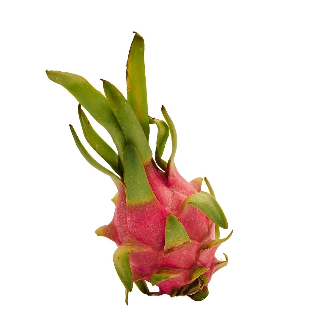 DRAGON FRUIT (WHITE)