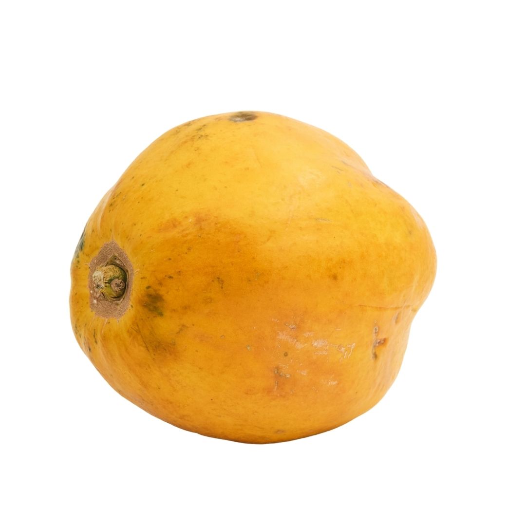 PAPAYA (REGULAR) PAPITA