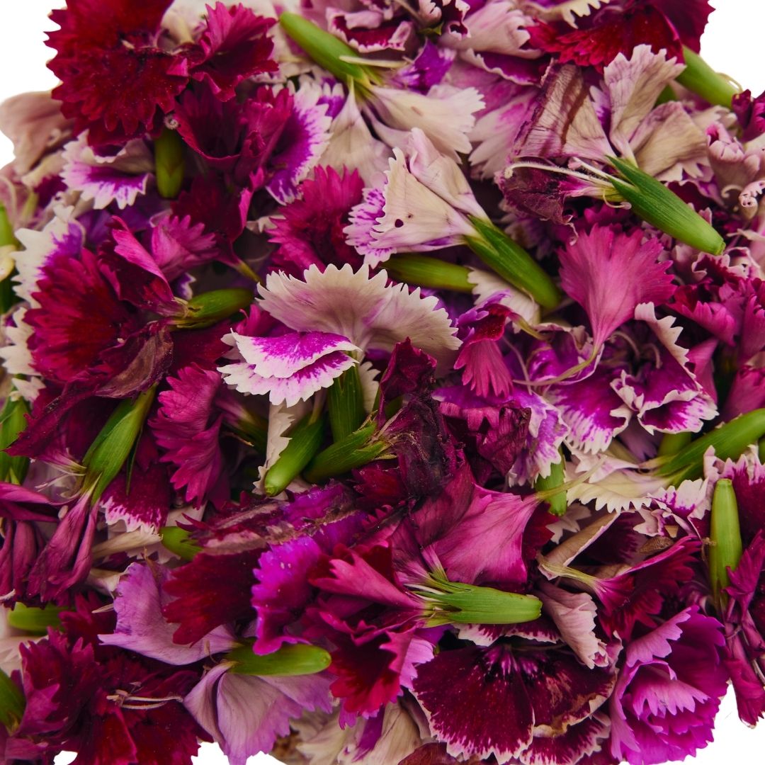 EDIBLE FLOWER