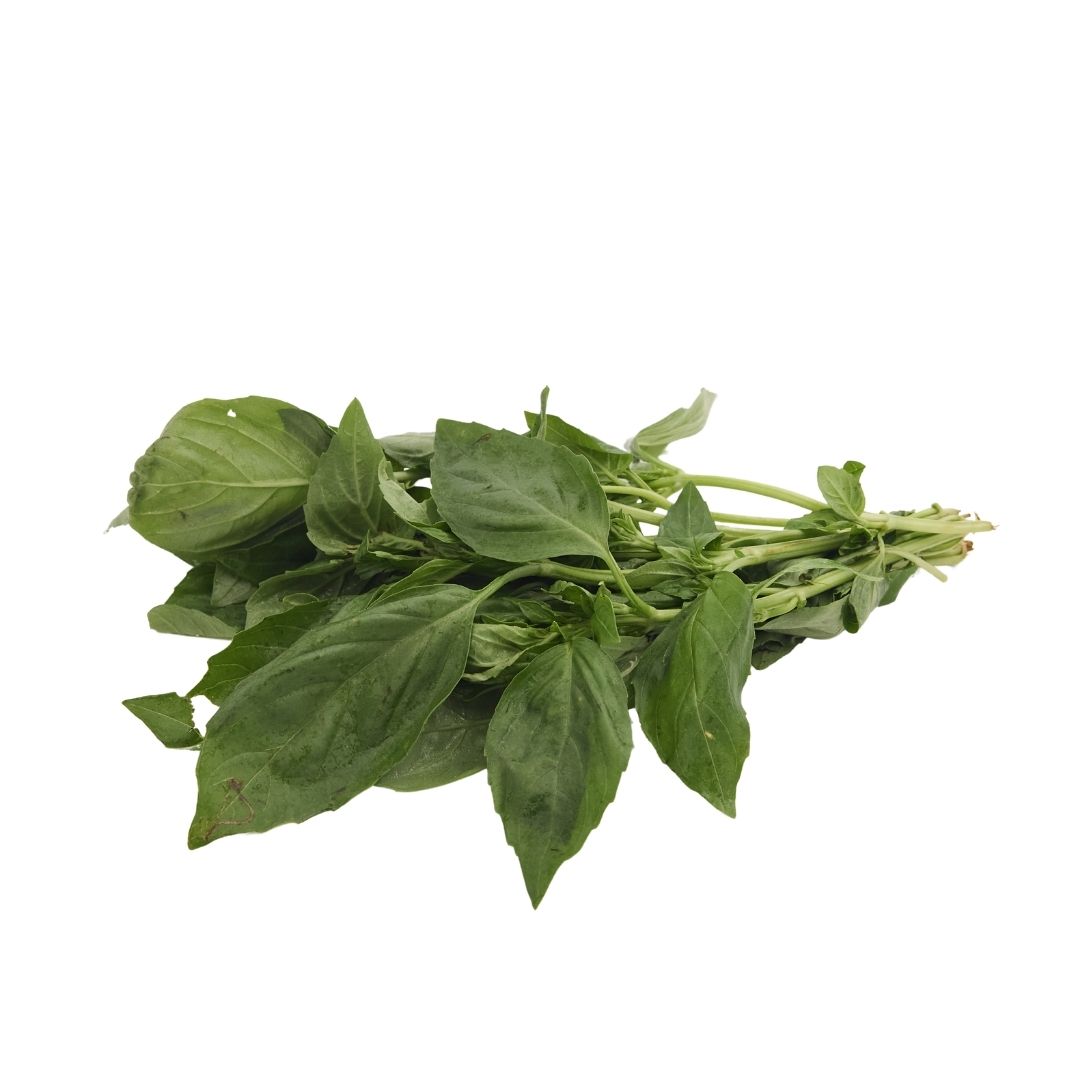 BASIL