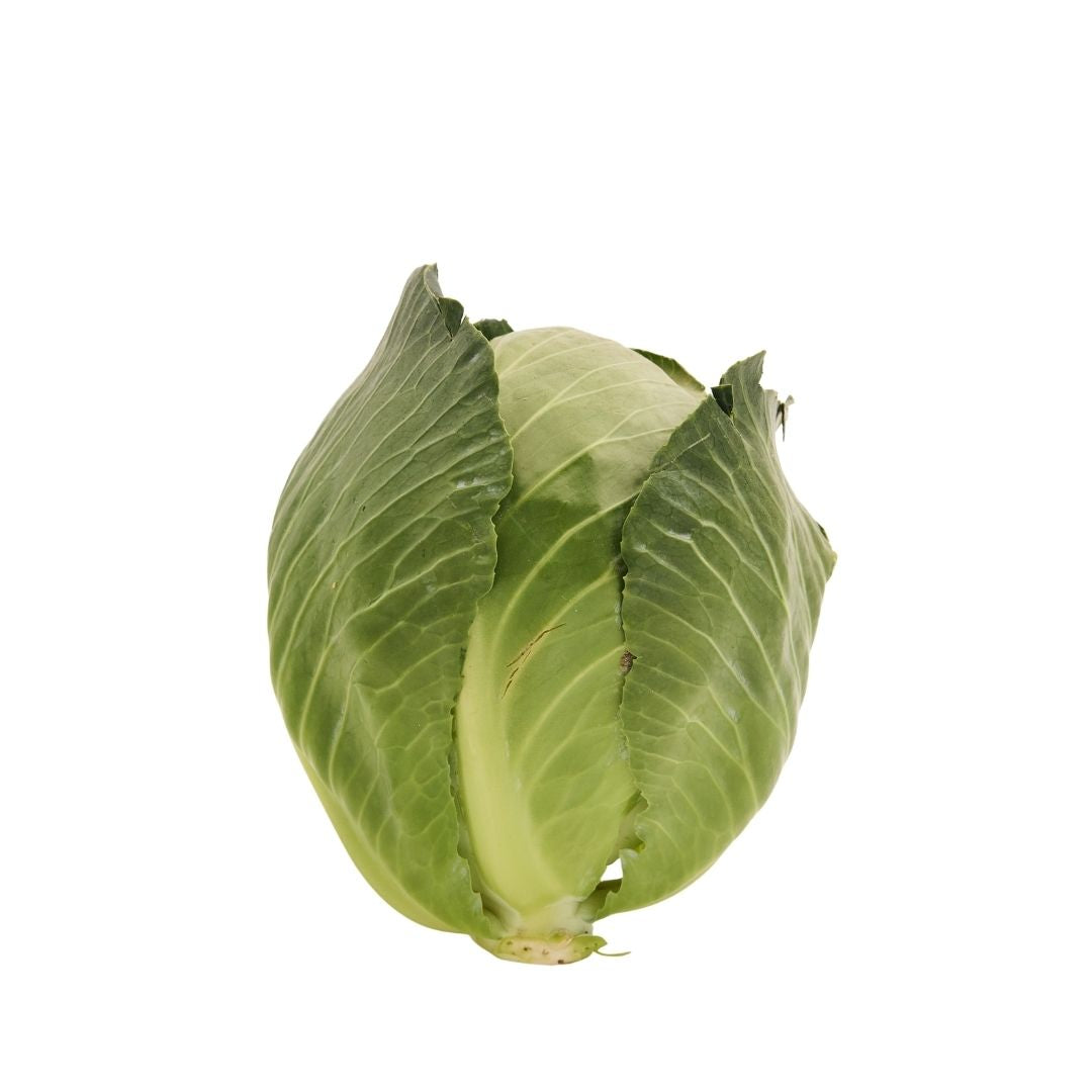 GREEN CABBAGE (BANDH GOBHI)