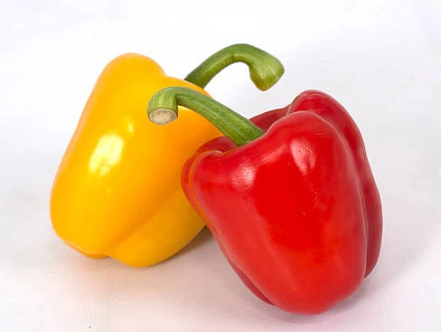 RED YELLOW (BELL PEPPER) LAL PILI SHIMLA MIRCH