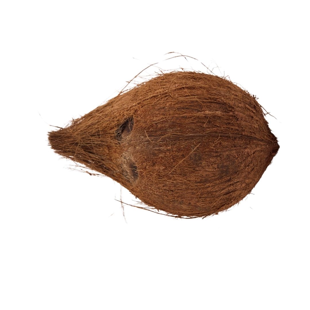 COCONUT