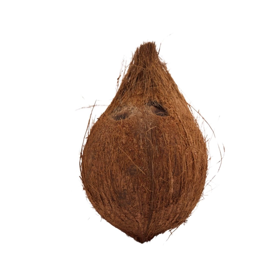 COCONUT