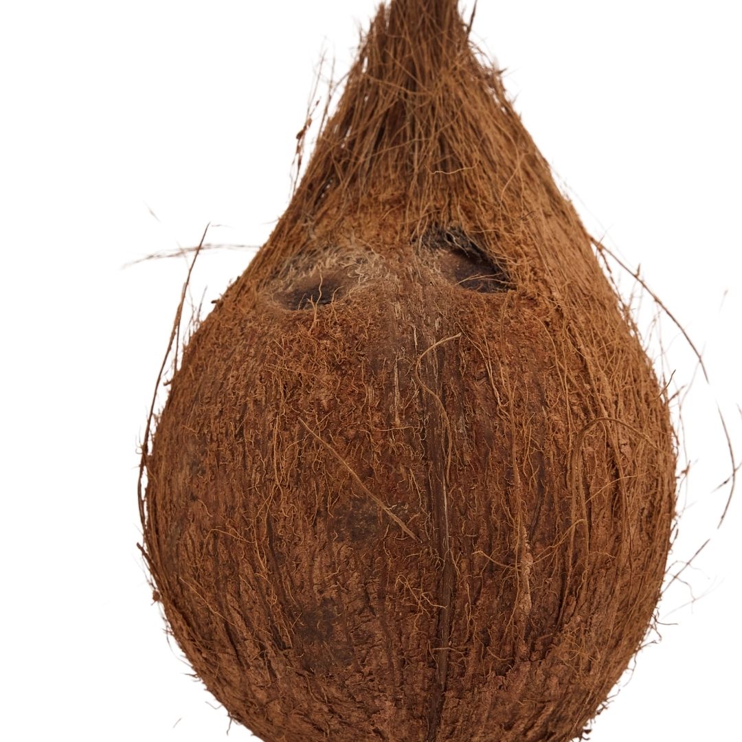 COCONUT