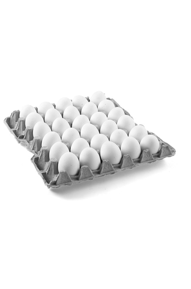 WHITE EGGS