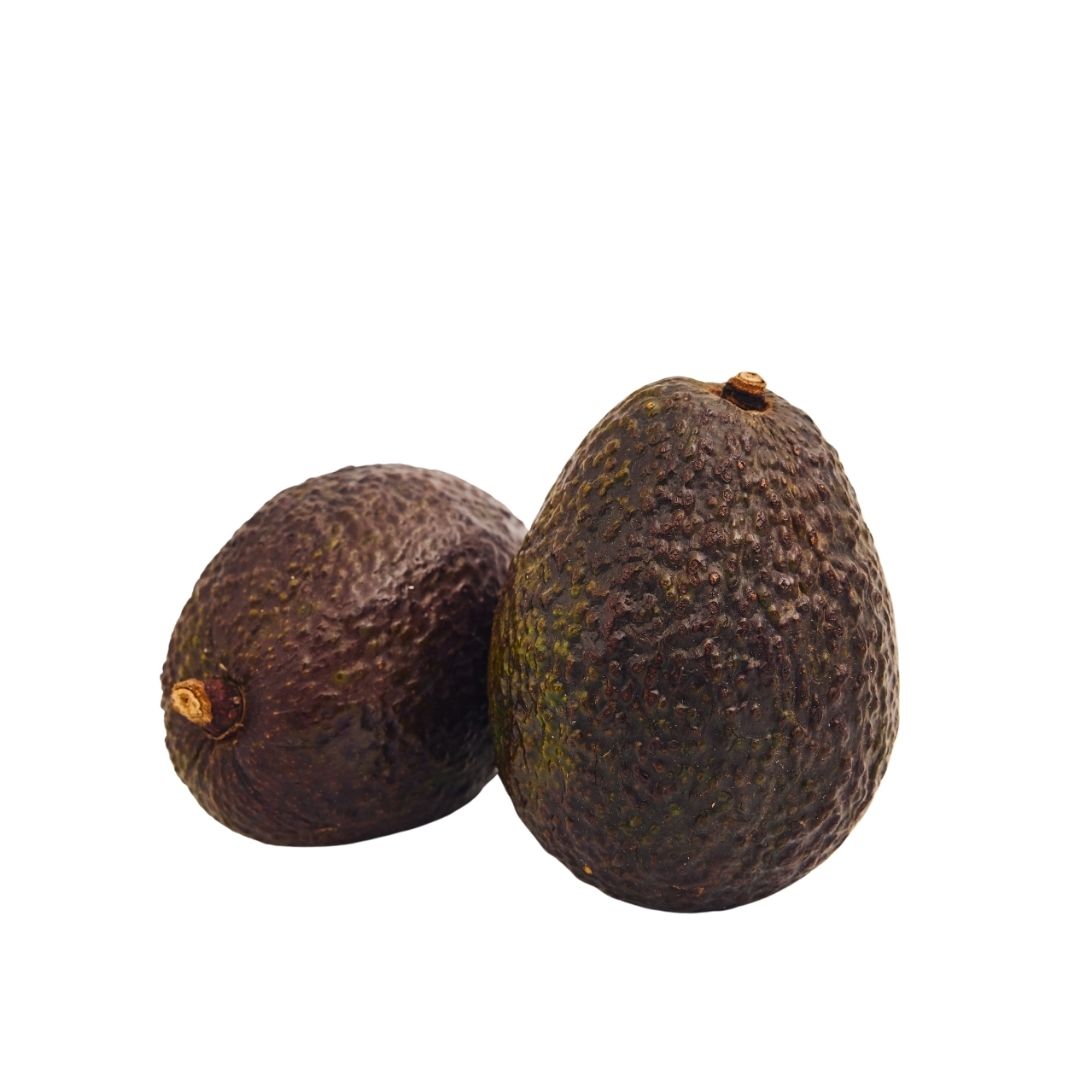AVOCADO HASS -TANZANIA