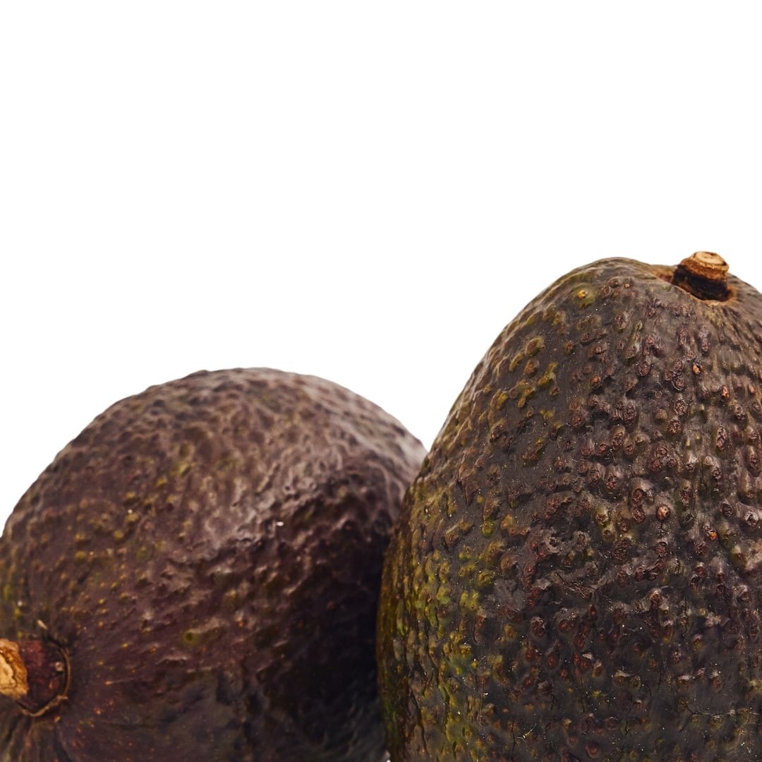 AVOCADO HASS -TANZANIA