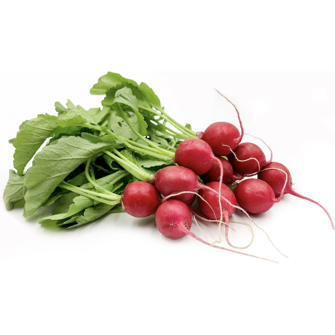 RADISH RED ROUND (LAL MULI)