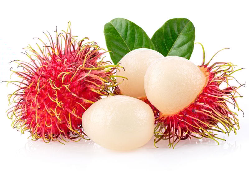 RAMBUTAN