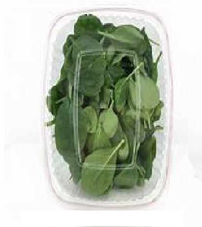 BABY SPINACH (PALAK)