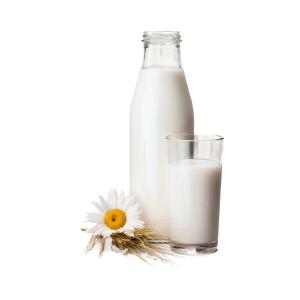 MILK