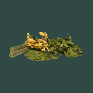 HERBS