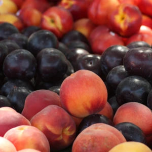 FRESH PLUM & PEACH