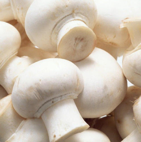 MUSHROOM