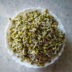 SPROUTS