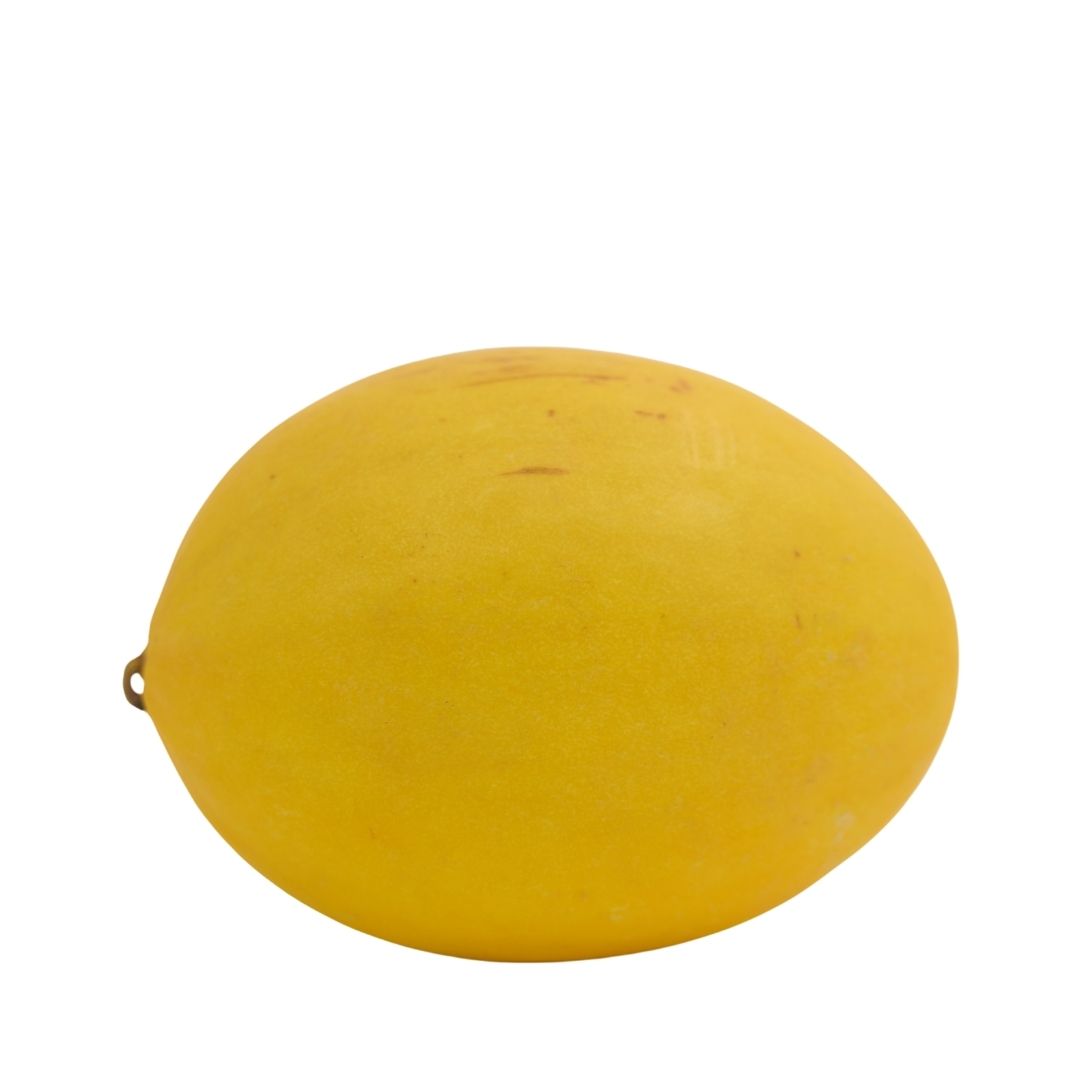 SUN MELON (SARDA)
