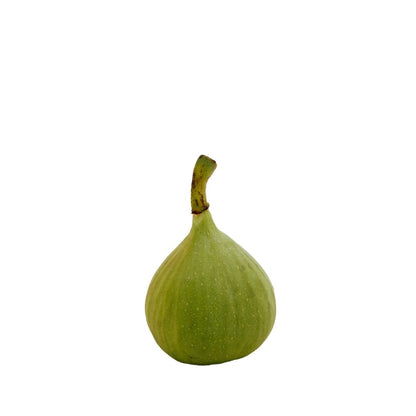 FRESH FIG