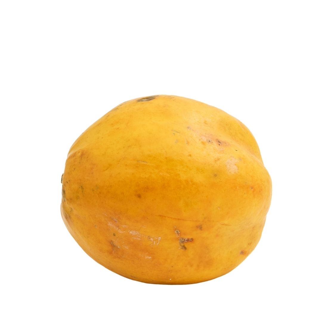 PAPAYA (REGULAR) PAPITA