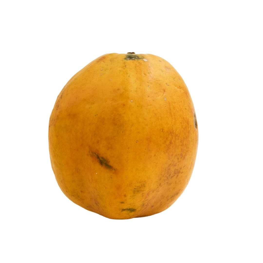 PAPAYA (REGULAR) PAPITA