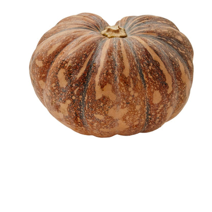 YELLOW PUMPKIN (PILA KADDU)
