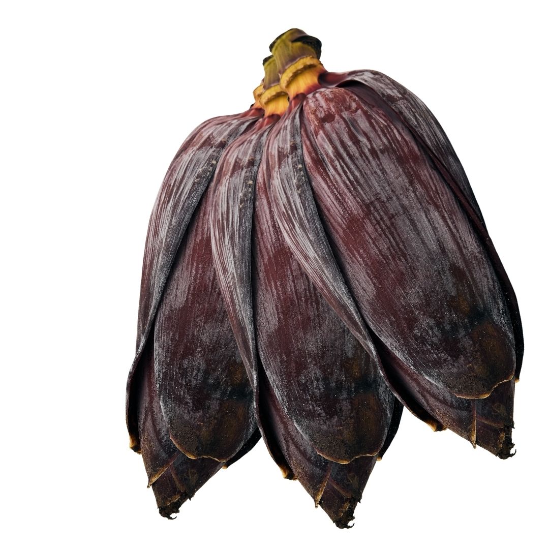 BANANA FLOWER