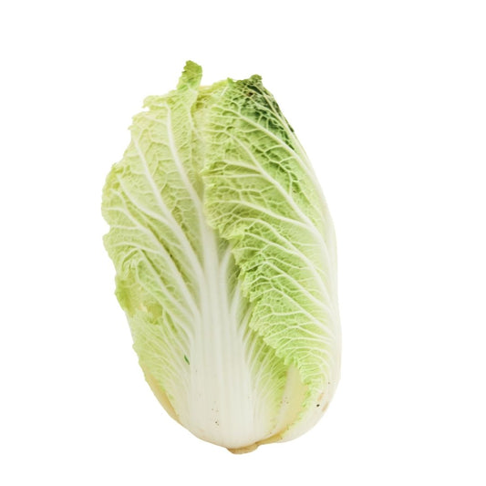 CHINESE CABBAGE