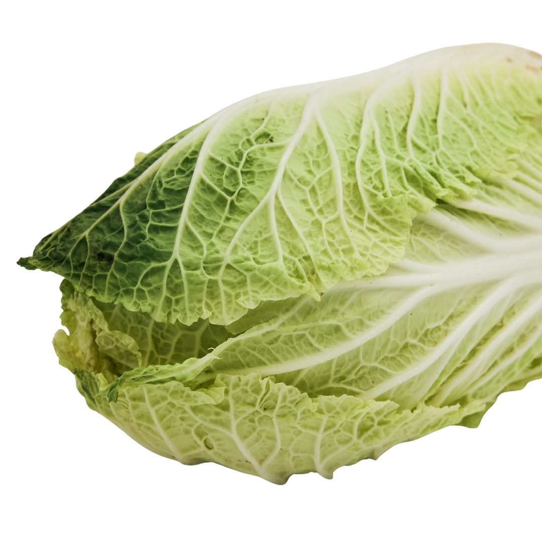CHINESE CABBAGE