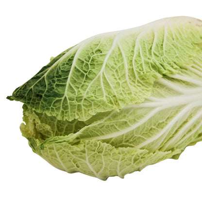 CHINESE CABBAGE