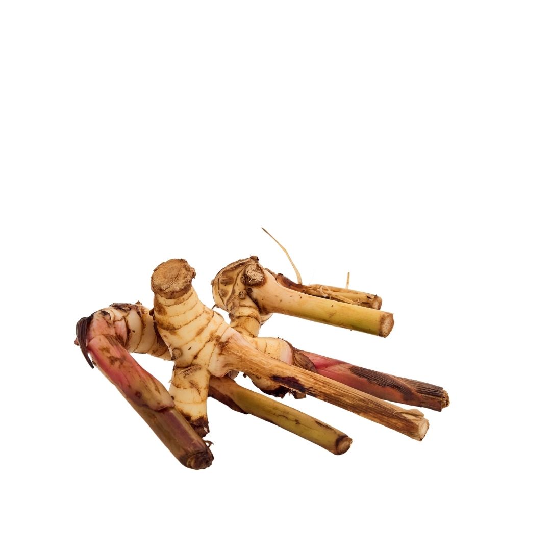 THAI GINGER (ADRAK)