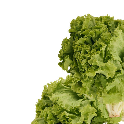 GREEN LETTUCE (HARA SALAD PATTA)