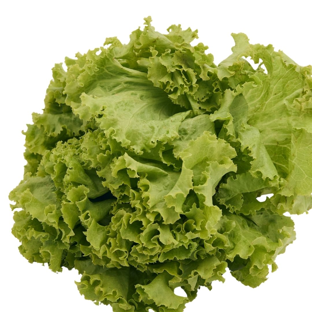 GREEN LETTUCE (HARA SALAD PATTA)