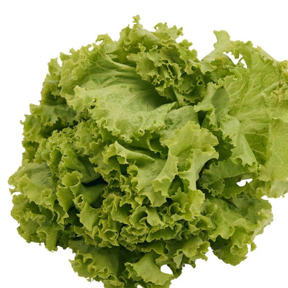 GREEN LETTUCE (HARA SALAD PATTA)