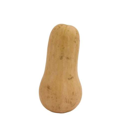 BUTTERNUT SQUASH