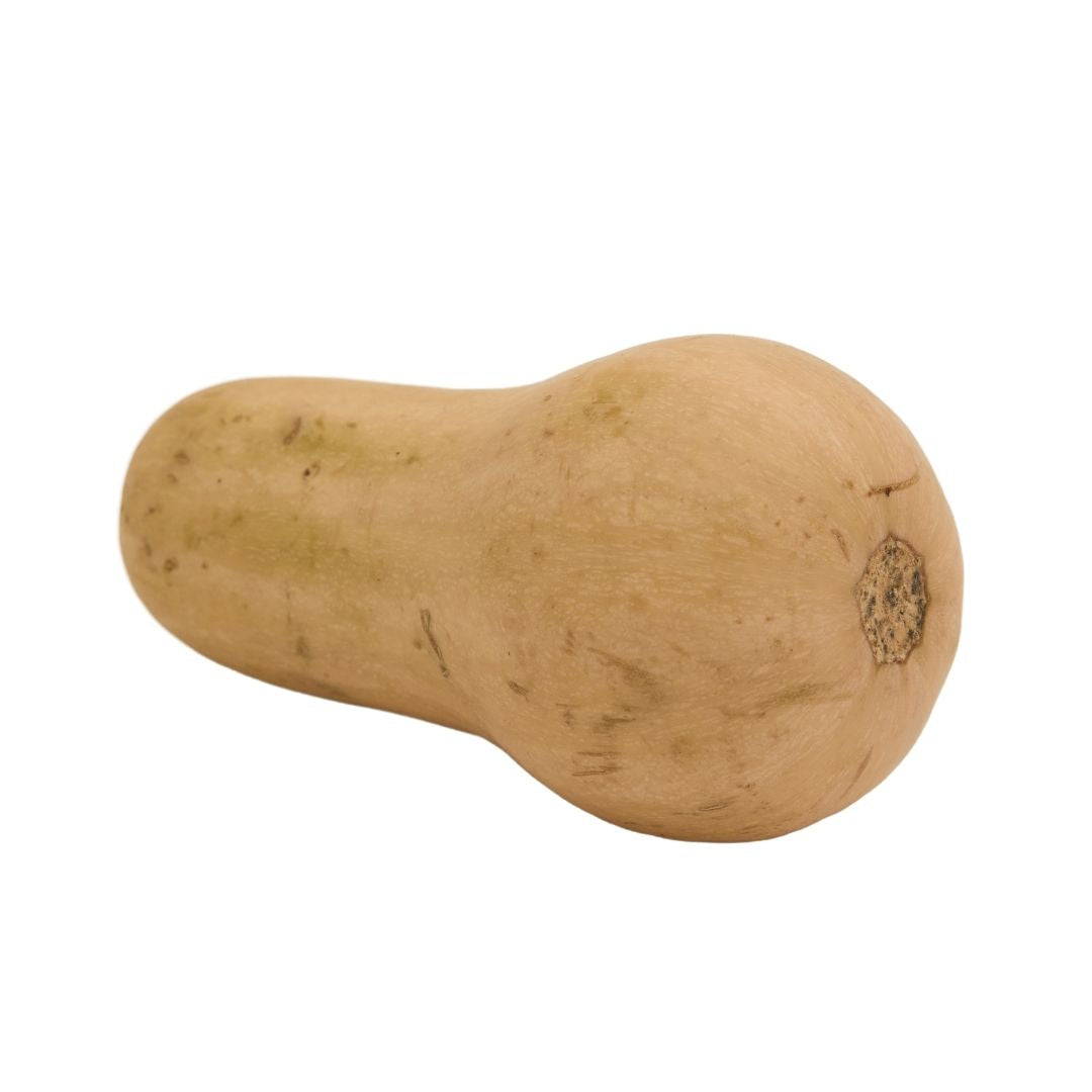 BUTTERNUT SQUASH