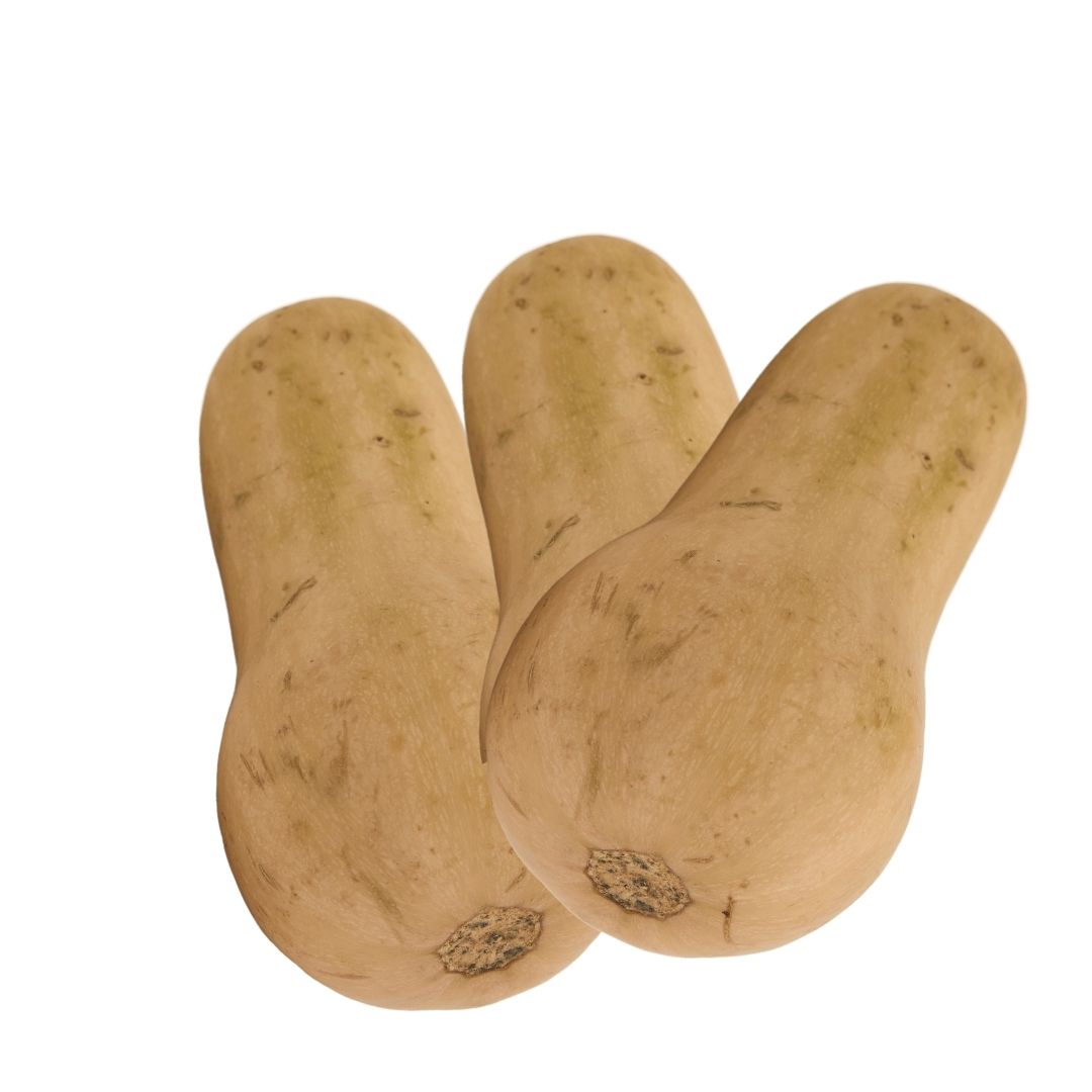 BUTTERNUT SQUASH