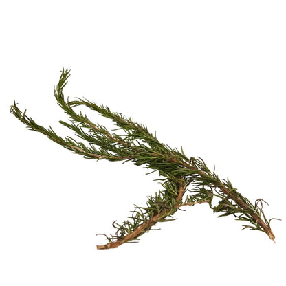 ROSEMARY