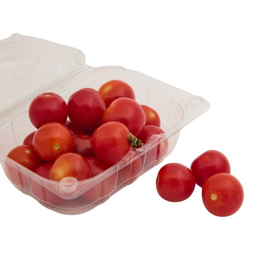 CHERRY TOMATO (TAMATAR)