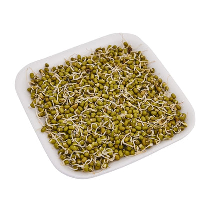 SPROUT (MOONG) ANKURIT MOONG