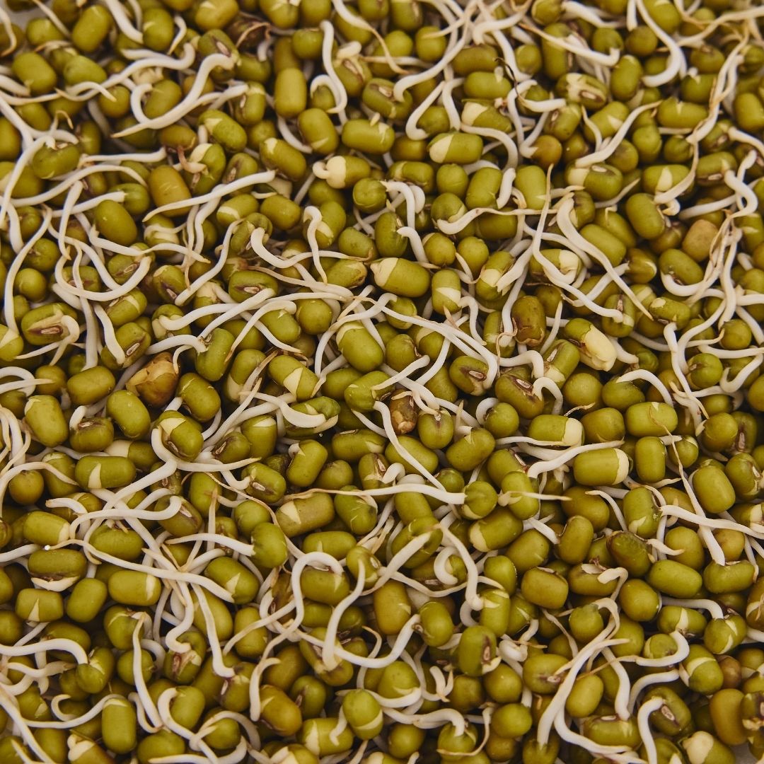 SPROUT (MOONG) ANKURIT MOONG