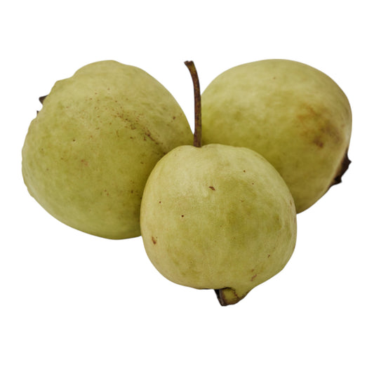INDIAN GUAVA (DESI AMRUD)