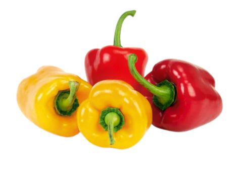 RED YELLOW (BELL PEPPER) LAL PILI SHIMLA MIRCH