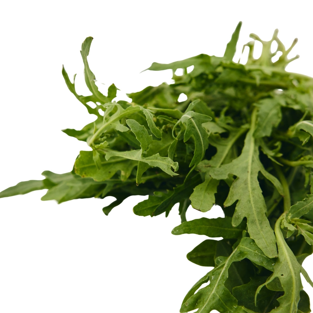 ARUGULA LEAVES