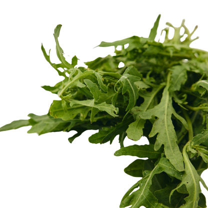ARUGULA LEAVES