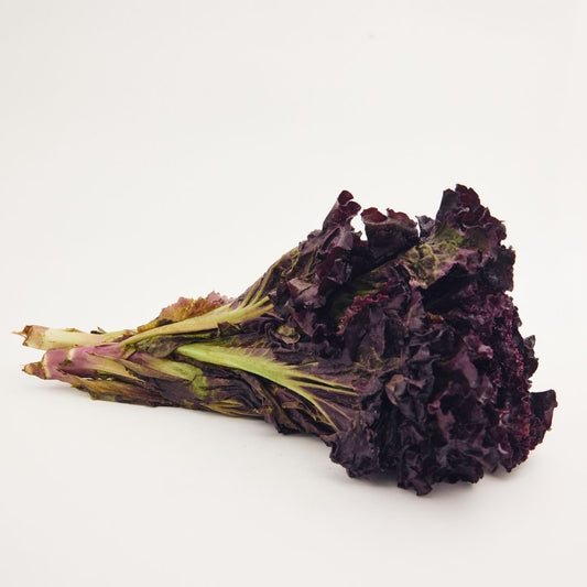 RED LETTUCE (LAL SALAD PATTA)