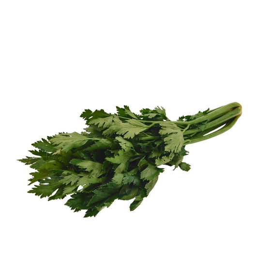 CELERY