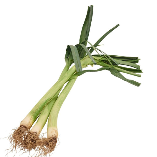 LEEKS LEAVES