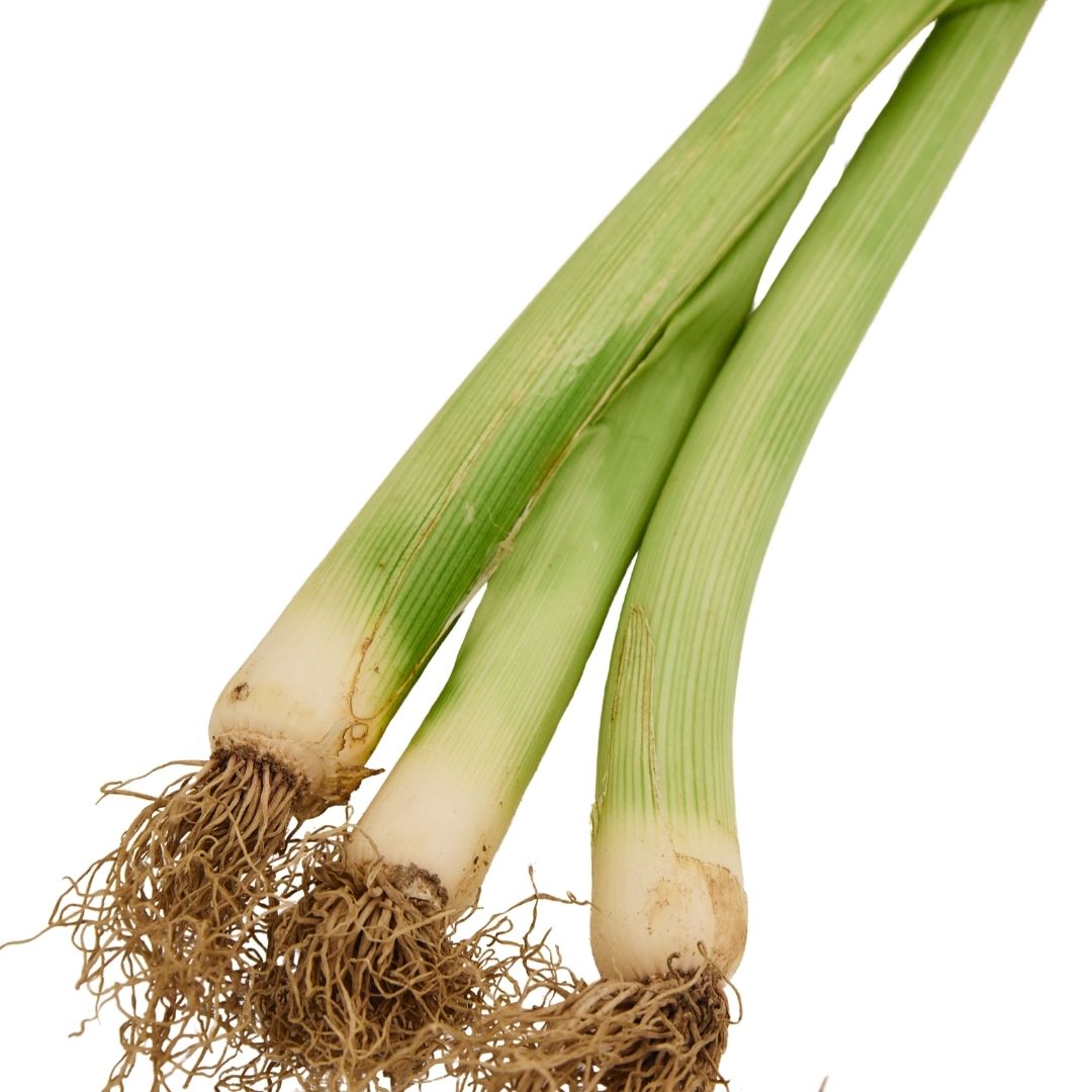 LEEKS LEAVES