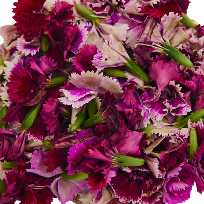 EDIBLE FLOWER