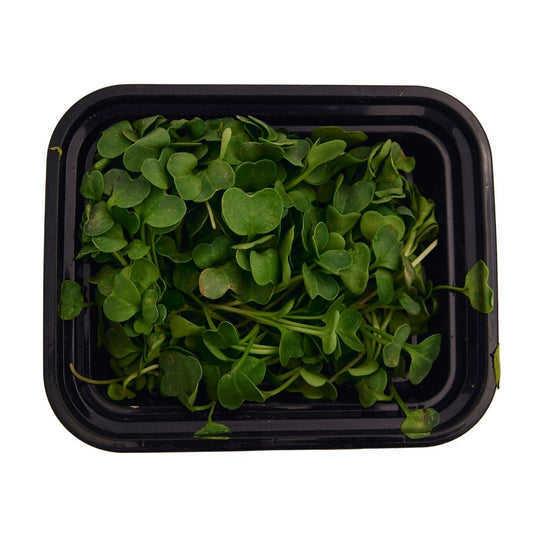 RADISH MICROGREEN